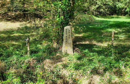 Gîte à SAINT ANDRE DE LA MARCHE proche du Puy du foù - Photo 11