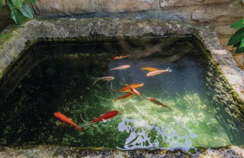 Holiday Home Butkovici Iii - Foto 12