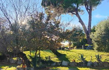 Agriturismo Grecinella - Foto 80