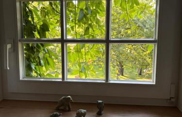 Pension up´n Dörp - Foto 6