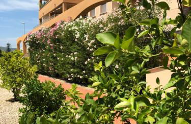 Denia Deluxe Beach & City - Photo 31