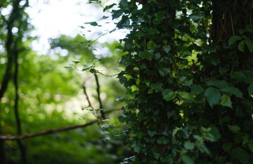 Tig Cottage - a rural, quirky, pet friendly 2 bedroom cottage near Ballantrae - Foto 53