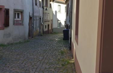 Moderne Wohnung in barockem Altstadthaus nahe Altstadt und Radweg - Photo 34