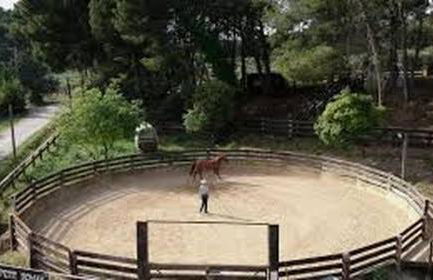 Villa en Provence piscine au calme entre Arles Nîmes Avignon - Foto 31