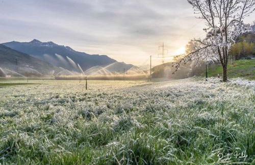 Le Petit Coq - Ampio e luminoso appartamento con vista - Foto 17