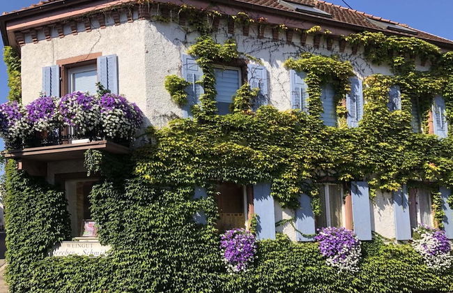 Holiday Apartment Monet in Oberrotweil - Foto 1