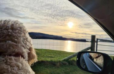 Ornum Self Catering Cottage - Foto 31