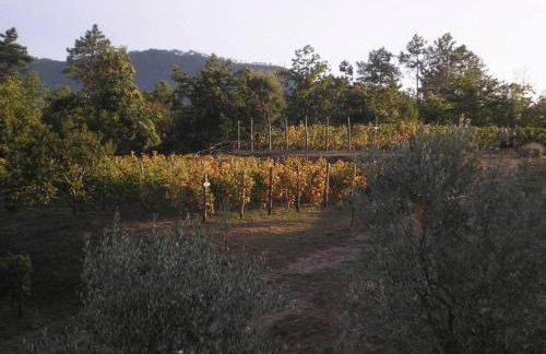 Sostio a Levante Guest House - Foto 67