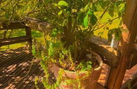 Casa Mirante da Serra em Tiradentes - MG - Foto 6