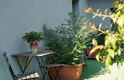 A Casa Mia 2.0 - Foto 19