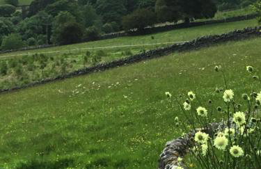 Weardale Cottage - Photo 29