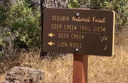 Modern House on 5 acr in Sequoia National Forest - Foto 75