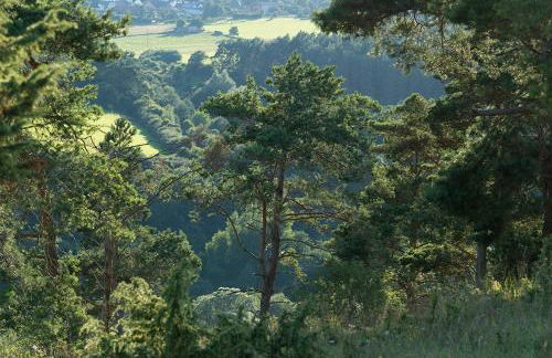 Zum Pinken Schaf - Photo 27