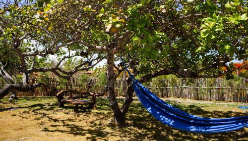 Beach House- KiteAliCori , Macapa' - Foto 4, Garden