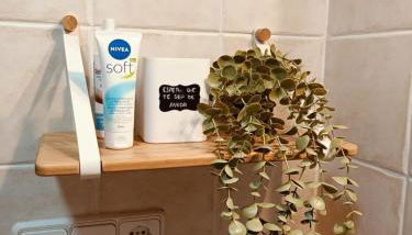 Mora Natura - Foto 4