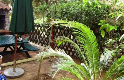 Studio apartment in Mali Losinj with terrace, air conditioning, WiFi, washing machine 4913-2 - Foto 41