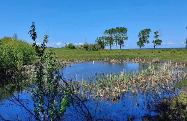 6 Person Holiday Home in Martofte - Foto 43