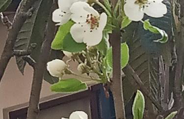 Studio Iviscos - Photo 49