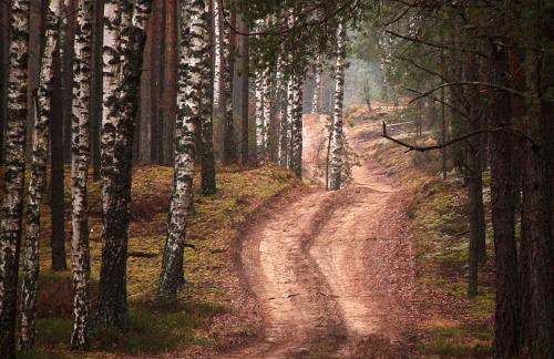 Przystan Kurpiowska - Foto 20