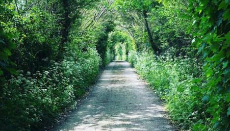 Secluded woodland annex between Mylor and Flushing - Foto 2