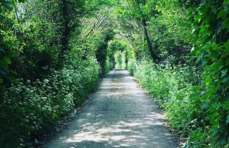 Secluded woodland annex between Mylor and Flushing - Foto 2