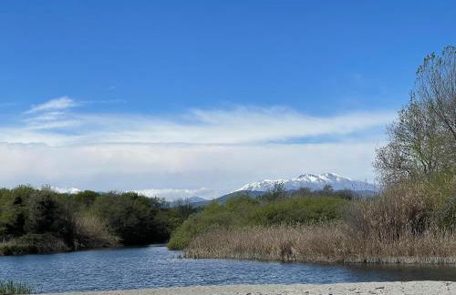 T2 VUE MER MARINA DI BRAVONE N197 - Foto 11