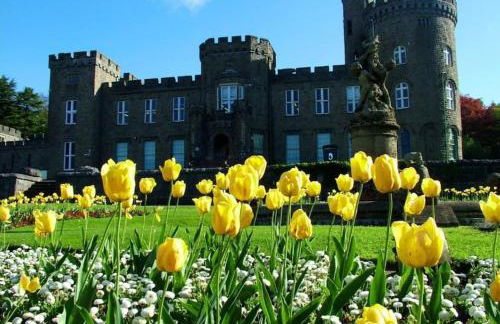 Viaduct View - Cefn Coed - Photo 27