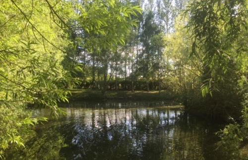 Holly's Lodge - Photo 26