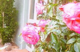 Ferienhaus Salvia - Foto 11