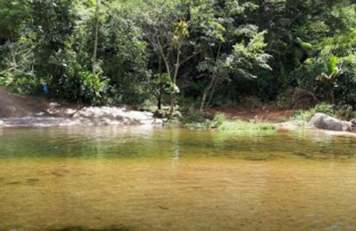 Pouso Amarelinho - Foto 39