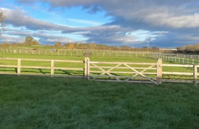 Swallow Cottage - Foto 12