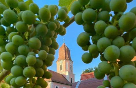 Schlafen im Weinfass - Foto 8