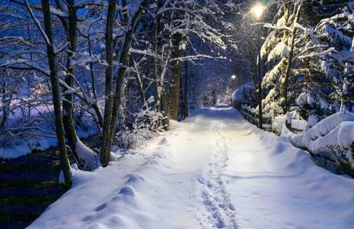 Apartment Chinook,La Praz,Chamonix Mont Blanc - Photo 45