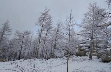 Casinhas da aldeia-casa da xiquita - Foto 33