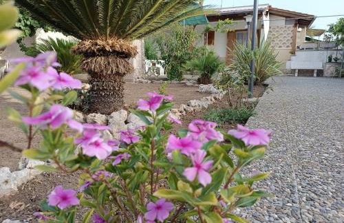 il giardino di Sofia Charm and Comfort Apartment - Foto 12