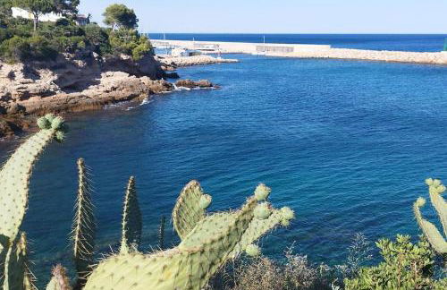 Casa Calafat - Foto 14