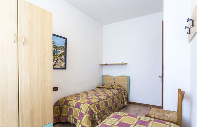 Calycanthus - Foto 13