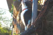 Casa dos ánxeles VUT-OR-1310 - Foto 75