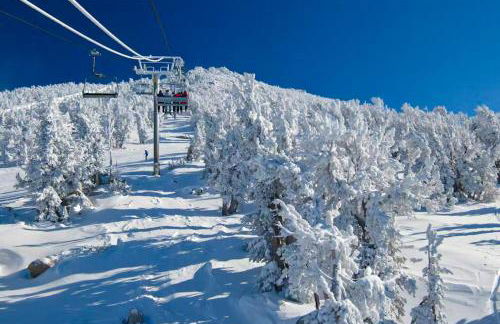 Chamonix 20 - Foto 32