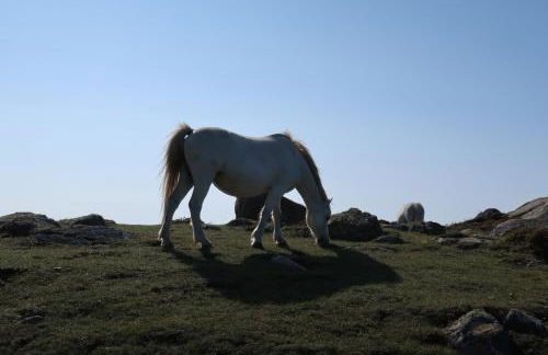 Best Beach 2025 "Little Haven" & The Hidden Gem - Foto 32