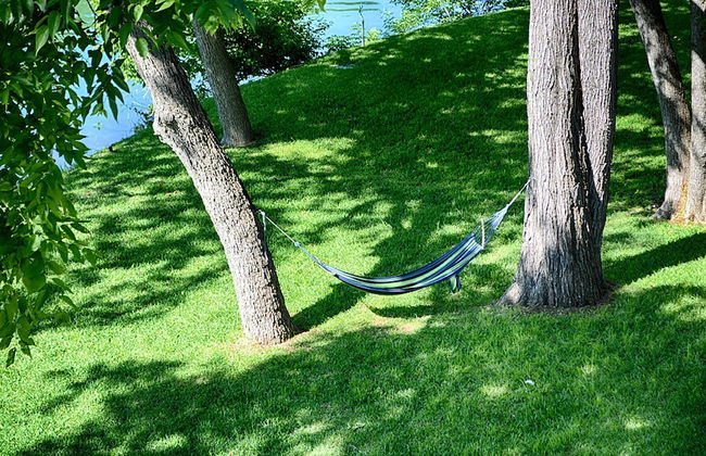 Treetop River Cabins - Foto 52