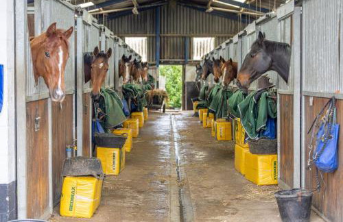 Sun Hill Palins - Photo 16