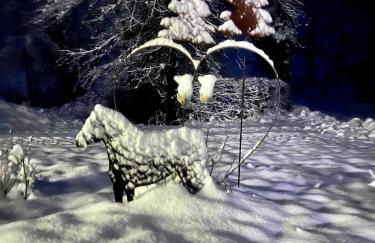 Landferienwohnung Simon - Foto 45