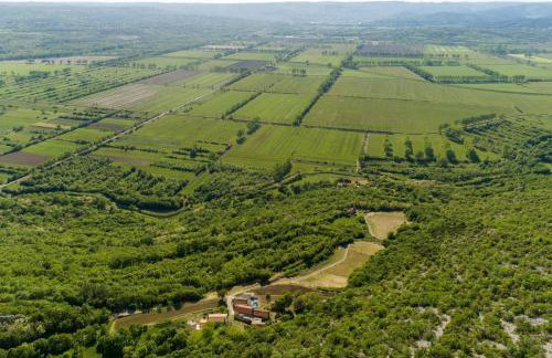 Ferienlandhaus Zvanya - Foto 34