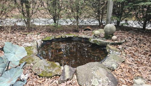 Rocky Knob Getaway - Foto 2