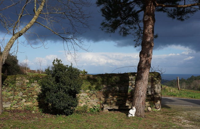 Apartamentos La Collada - Photo 51