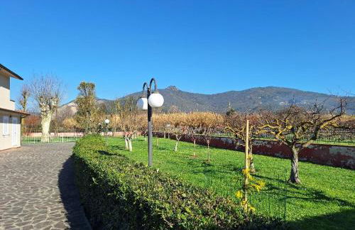 leupupe relax cultura mare monti - Foto 44