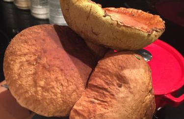 Przystań Piława - Foto 69