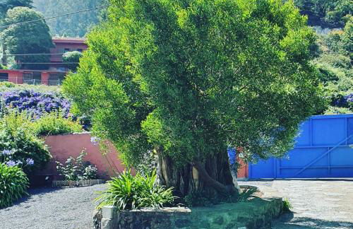 Casa el Porte - Photo 27