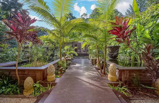 Sanctuary in The Pocket - Photo 36